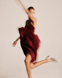 Arden Velvet Dress - Wine media 6